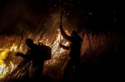 Semadesc lança edital para fortalecer prevenção e combate a incêndios no Pantanal