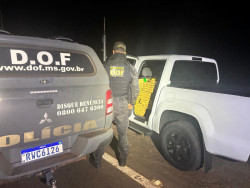 Adolescente é apreendido com 800 quilos de droga a serviço de facção