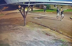 Prefeitura constata furto de 5 placas de trânsito e alerta a população