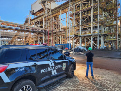 Polícia Civil incinera 274 quilos de maconha apreendida em ação integrada