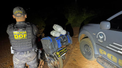 DOF apreende 25 quilos de skunk transportados em moto