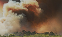 Festival de Curtas tem edição online com apresentação de 200 filmes