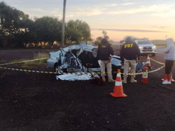 Carro atropela capivara, motorista perde controle, bate em coqueiro e mulher morre