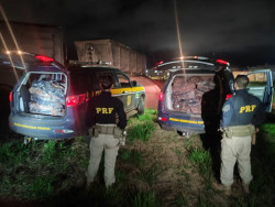 PRF apreende 1 tonelada de cocaína em carga de minério em menos de 24 horas