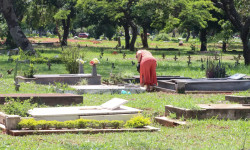 Taxa de homicídio cai, mas violência matou 45,7 mil no Brasil em 2023