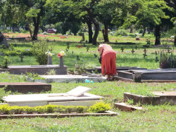 Taxa de homicídio cai, mas violência matou 45,7 mil no Brasil em 2023