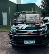 Polícia Civil identifica crime ambiental durante cumprimento de mandado