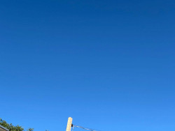 Dia ensolarado e noite estrelada marcam a previsão desta quarta-feira