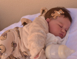 Projeto quer vetar atendimento de bonecas "reborn" na rede pública de saúde em MS