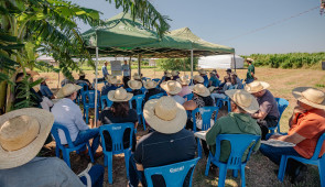 Expoagro 2025 foi sucesso e Sindicato Rural já projeta edição histórica para 2026