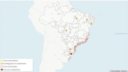 Mapa investiga casos de gripe aviária em 5 estados