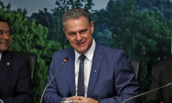 Brasil pode retomar exportações de carne de frango em 28 dias