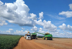 Soja e milho puxam crescimento do agro em abril em Mato Grosso do Sul
