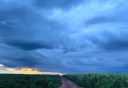 Mato Grosso do Sul teve chuvas acima da média em abril, aponta Cemtec