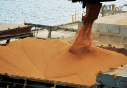 Importação de soja brasileira pela China cai 22,2% em abril ante 2024