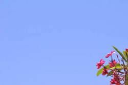 Quarta-feria será de céu totalmente limpo e máxima de 29ºC em Dourados