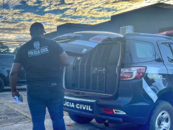 Mecânico condenado a 10 anos por estupro de vulnerável é preso para cumprir pena