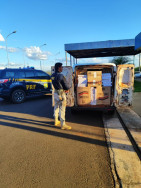 Motorista foge e abandona 25 mil maços de cigarros em rodovia de MS