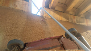 Na contramão, condutor cai com Fiat Uno no vão de viaduto e abandona carro na rodovia