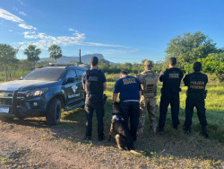 PF deflagra operação "Grande Família" contra o tráfico de drogas