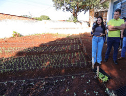 Hortas Agroecológicas ganham espaço nas escolas municipais de Dourados