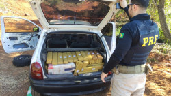 PRF apreende 237,5 quilos de maconha em Rio Brilhante
