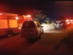 Corpos de mãe e bebê de 1 ano são encontrados carbonizados em vegetação