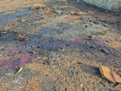 Corpos de mãe e bebê foram jogados de caminhonete e queimados com óleo diesel