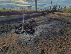 Suspeito de matar e queimar corpos de mãe e filha é preso; pensão alimentícia seria o motivo