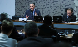 Ministro da Agricultura anuncia que foco de gripe aviária está contido