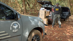 DOF apreende veículo com 550 pacotes de cigarros do Paraguai