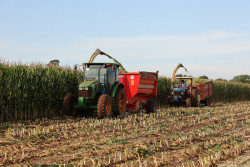 Prefeitura apoia colheita de silagem e fortalece produção de leite em distritos