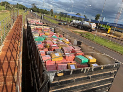 PRF apreende 27 toneladas de maconha em carreta carregada com milho