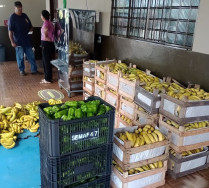 Prefeitura já distribuiu quase 10 toneladas de alimentos através do PAA