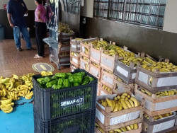 Prefeitura já distribuiu quase 10 toneladas de alimentos através do PAA