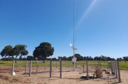 Pantanal da Nhecolândia registra menor temperatura de Mato Grosso do Sul