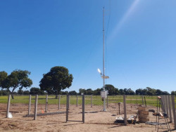 Pantanal da Nhecolândia registra menor temperatura de Mato Grosso do Sul