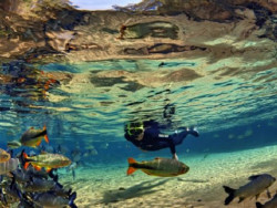MS apresenta seus principais destinos em evento global de turismo de aventura nos EUA