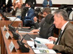 Deputados aprovam normas mais rígidas para relatórios ambientais em MS