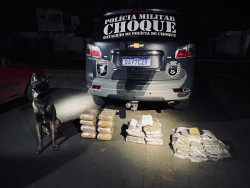 Choque da Polícia Militar de MS atua em operação nacional contra o crime organizado