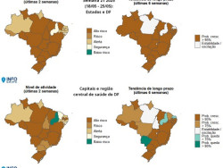 Fiocruz: 72,5% dos óbitos por SRAG estão relacionados à influenza A