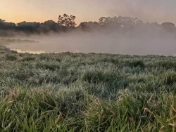 Dourados tem mínima de 3,3 graus e formação de geada na manhã mais fria do ano