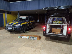 PRF apreende 162 quilos de cocaína escondidos em caixão funerário na BR-262