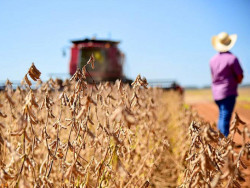 Puxado pela agropecuária, PIB cresce 1,4% no primeiro trimestre de 2025