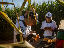 MS, MT e Goiás recebem técnicos do Rally da Safra para avaliar lavouras de milho