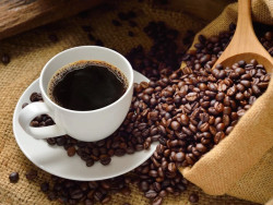 Anvisa proíbe a venda de três marcas de 'café fake'