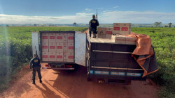 Polícia apreende caminhões com quase 20 mil pacotes de cigarros contrabandeados