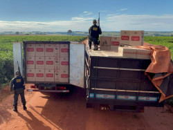 Polícia apreende caminhões com quase 20 mil pacotes de cigarros contrabandeados
