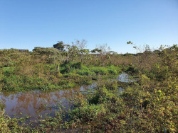 Prefeitura intensifica atividades no Dia Mundial do Meio Ambiente