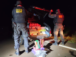 Dois são presos em rodovia estadual levando quase 270 quilos de drogas e para São Paulo